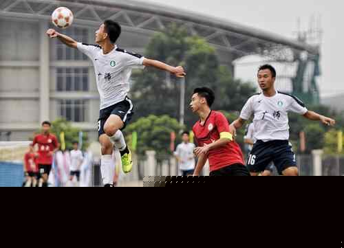 帕尔马队长：我们必须通过团队协作，共同限制莱奥的发挥（帕尔马队长：靠整体合力压制莱奥的发挥）