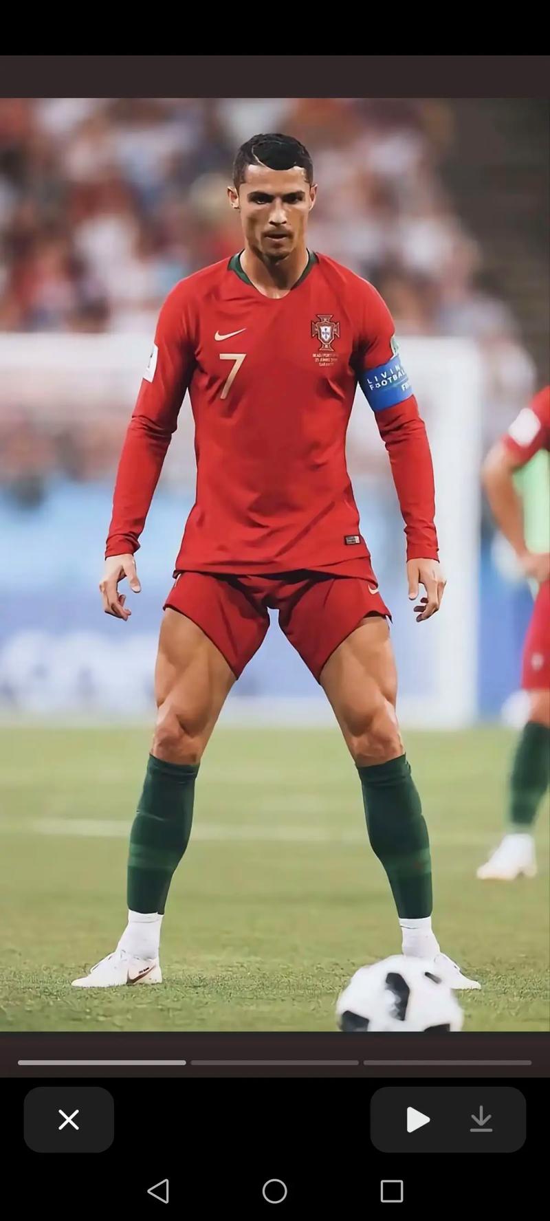 森旅迷鹿（森境寻鹿）